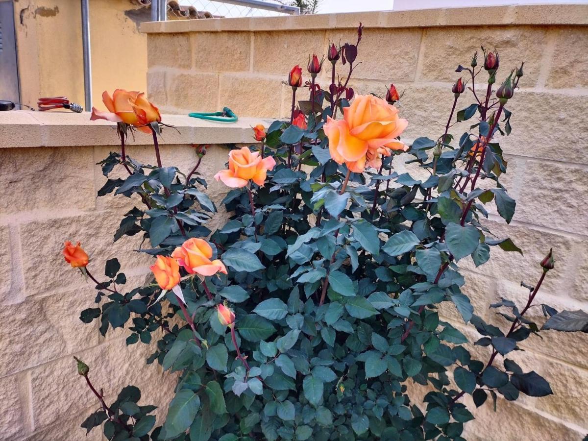 בית הארחה סהורה 	Casas Guemon מראה חיצוני תמונה